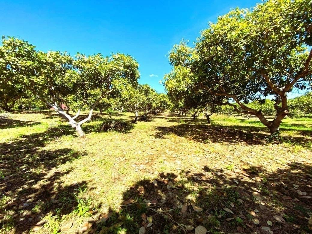 76,600 sqm Land Size Земля Для Продажи