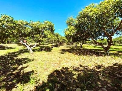 76,600 sqm Land Size Земля Для Продажи