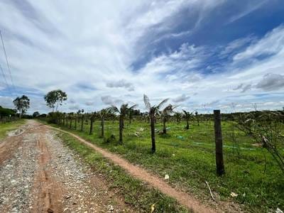House and lot Na prodej in Chan Saen, Odongk, Kampong Speu
