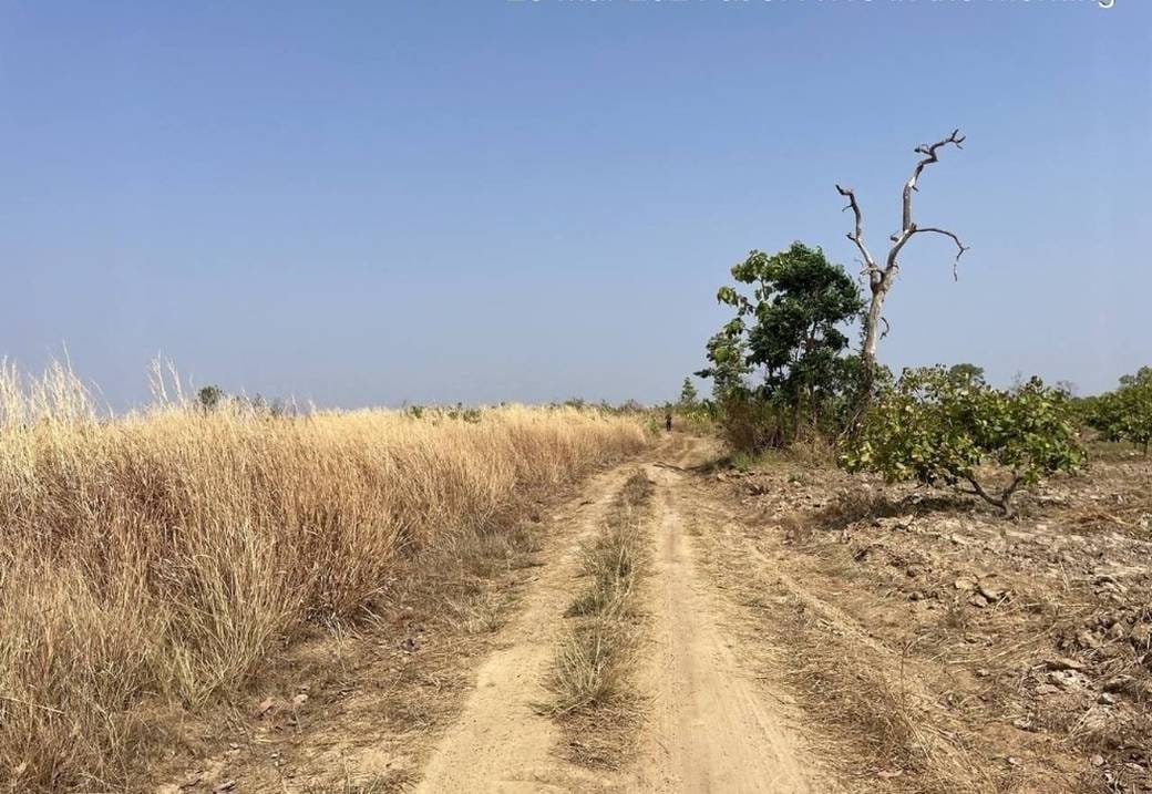 Pozemky Na prodej in Chrouy Banteay, Prek Prasab, Kratié