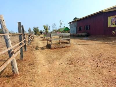 House and lot สำหรับขาย พื้นที่ใช้สอย 126 ตร.ม. ใน Siem Pang