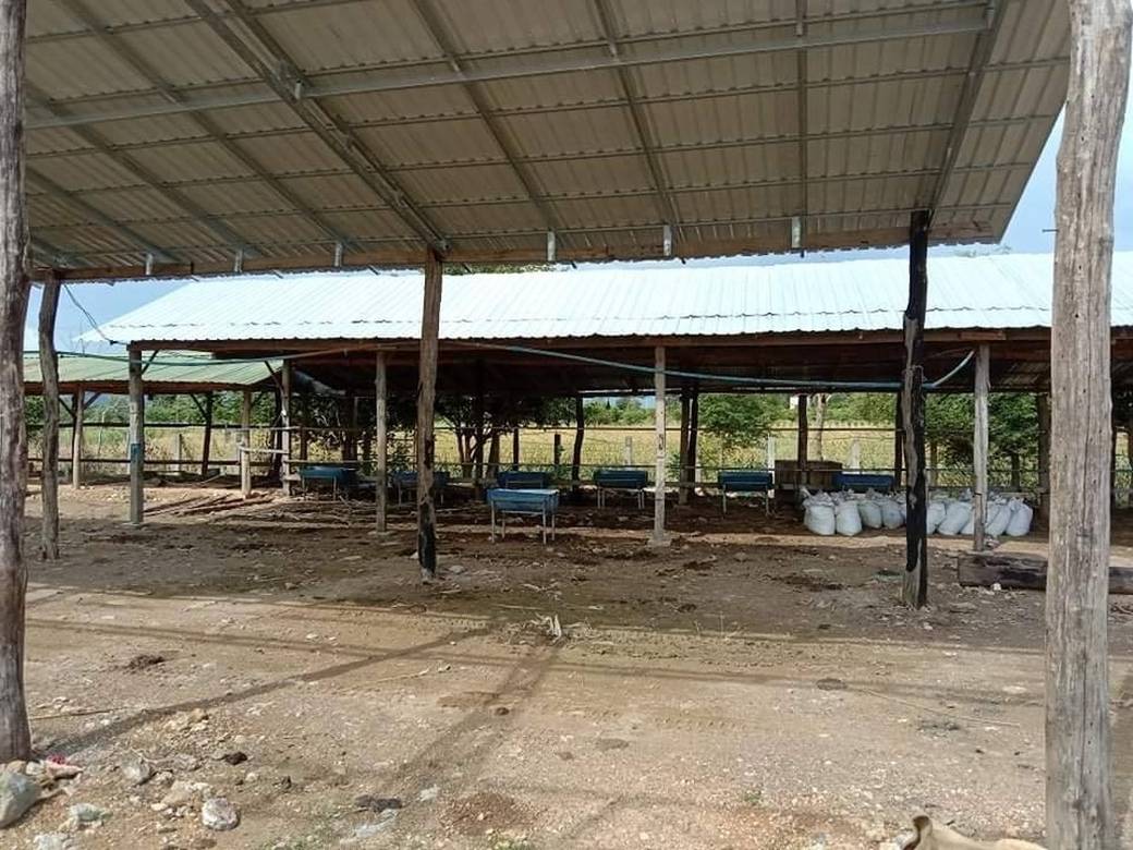 Entrepôt À vendre de 765 m² habitables à Sampov Lun