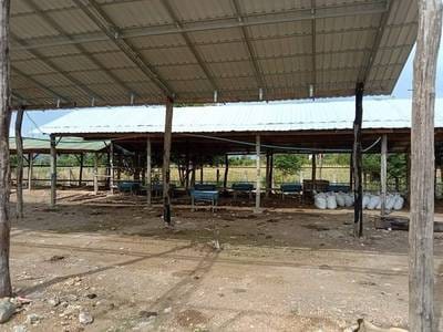 Entrepôt À vendre de 765 m² habitables à Sampov Lun