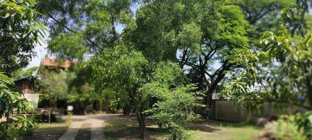 1,412 sqm Land Size Lot For Sale for $650,000