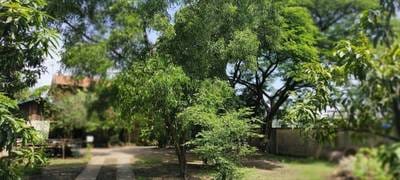 1,412 sqm Land Size Lot For Sale for $650,000