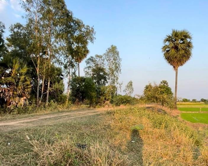 Terrain agricole À vendre à S'ang $18,500