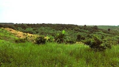 ที่ดิน สำหรับขาย ใน กันจอ, ชลูง, กระแจะ