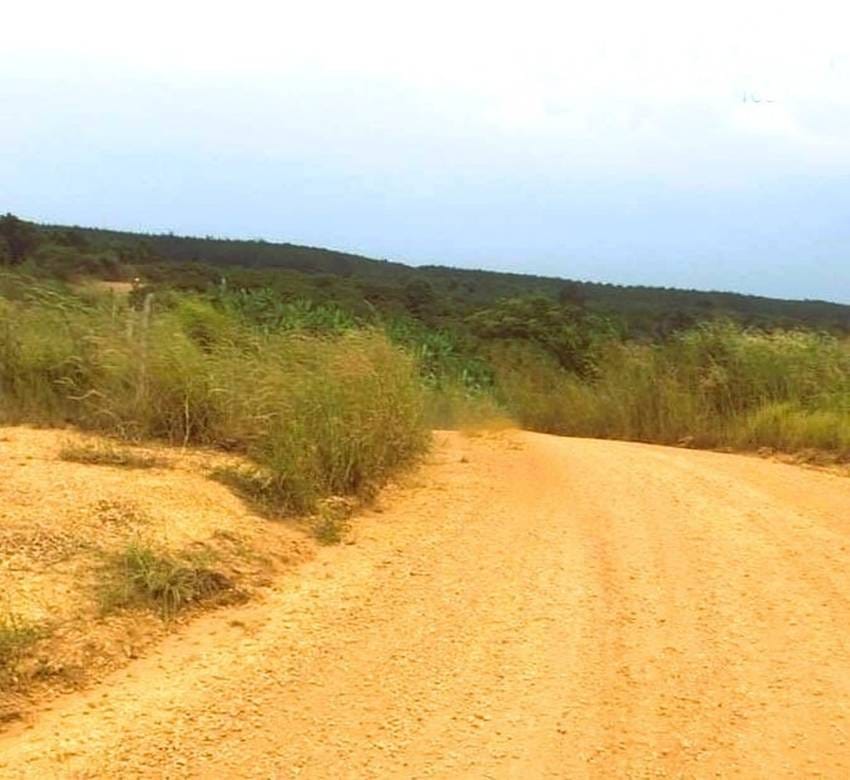 Kanhchor ที่ดิน สำหรับขาย ใน Kanhchor