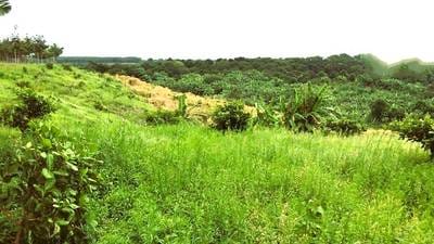 ที่ดิน สำหรับขาย ขนาดที่ดิน 73,462 ตร.ม.