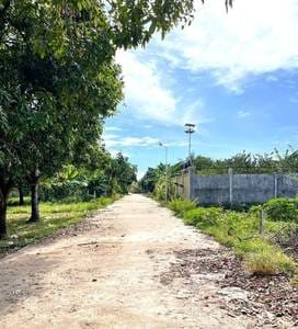 Thma Korの土地売り物件（Thma Kor）