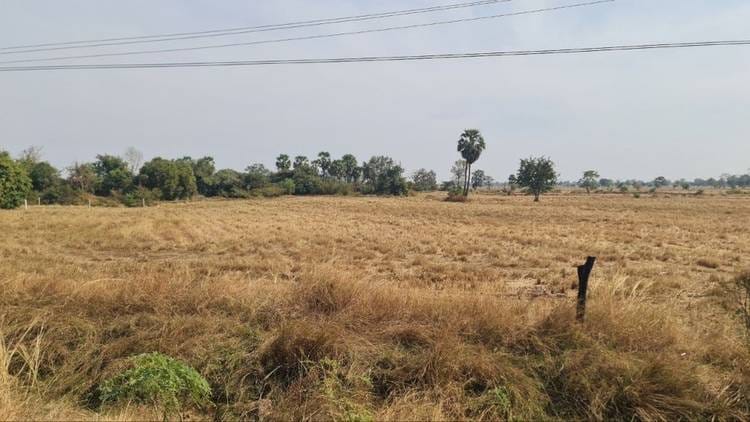 Land For Sale in Kouk Mon, Banteay Ampil, Oddar Meanchey