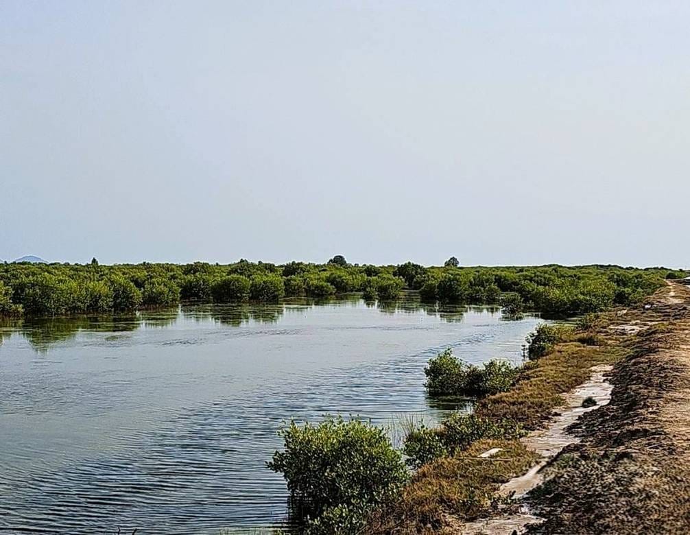 Chum Kriel Lot For Sale in Chum Kriel