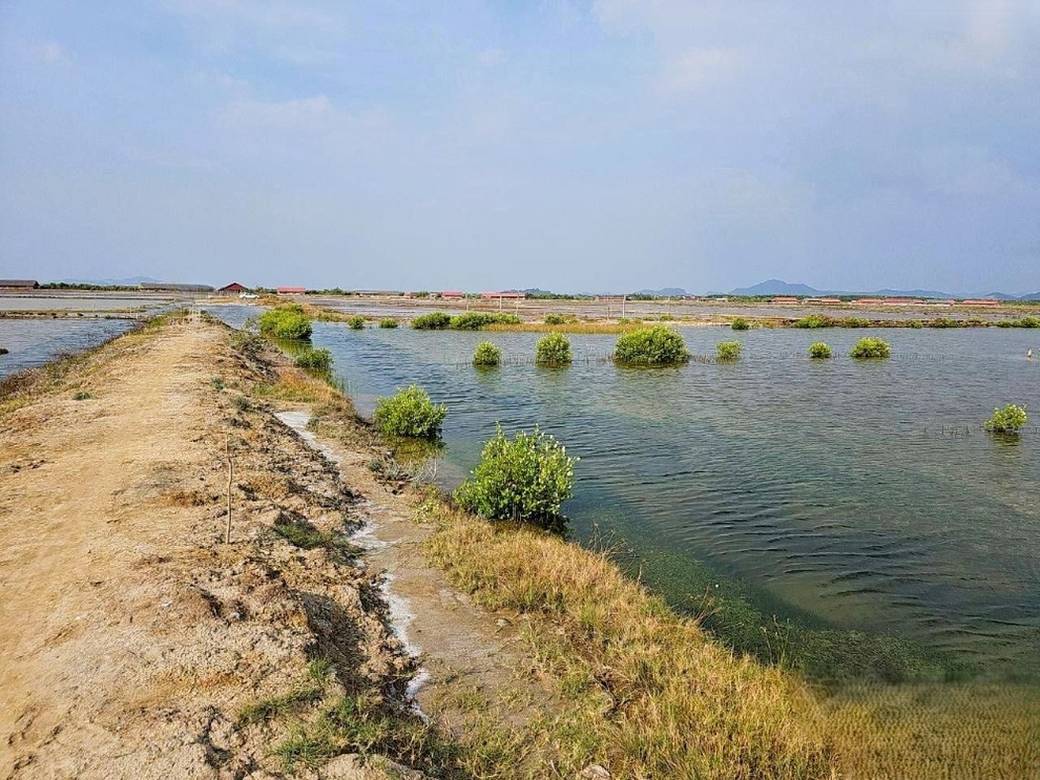 Lot For Sale in Chum Kriel, Tuek Chhou, Kampot