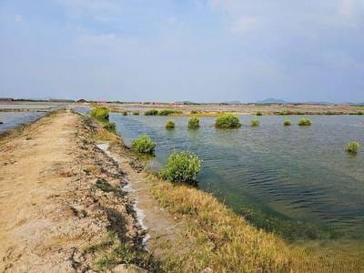 Lot For Sale in Chum Kriel, Tuek Chhou, Kampot