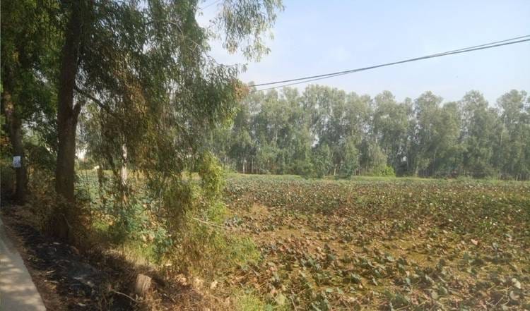Land For Sale in Preaek Koy, S'ang, Kandal