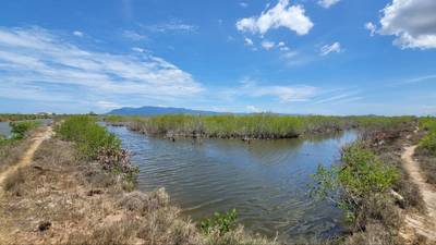 Lot For Sale in Tuek Chhou $844,000