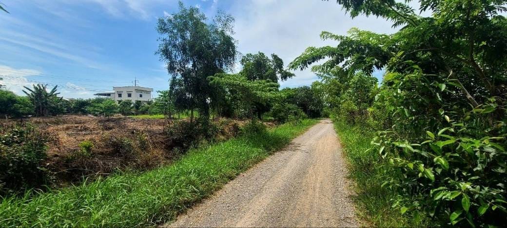ដី សំរាប់លក់ នៅ បឹងព្រីង, ថ្មគោល, បាត់ដំបង