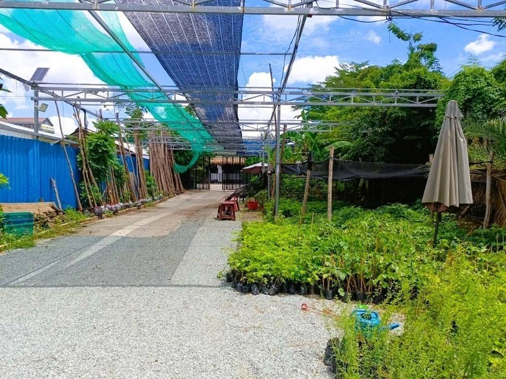 199 sqm Land Size House and lot For Sale