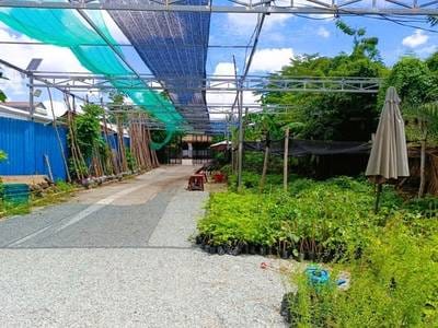 199 sqm Land Size House and lot For Sale