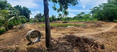 ដី សំរាប់លក់ នៅThma Koul តម្លៃ $15,000