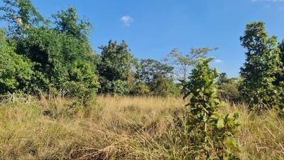 1,056 sqm Land Size Lot For Sale