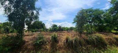 ដី សំរាប់លក់ ទំហំដី 1,094 ម៉ែត្រការ៉េ