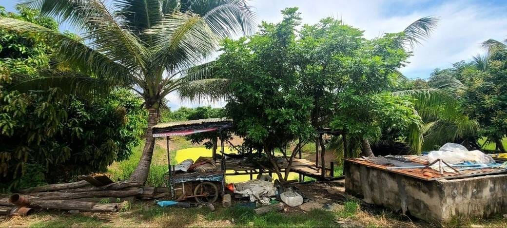 5,636 sqm Land Size Warehouse For Sale