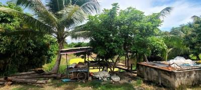 5,636 sqm Land Size Warehouse For Sale