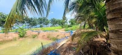 Warehouse For Sale in Boeung Pring, Thma Koul, Battambang