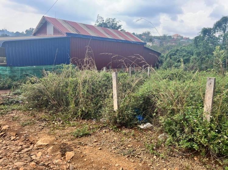 Land For Sale in Sokh Dom, Saen Monourom, Mondulkiri