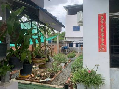 168 sqm Land Size Flat House For Sale