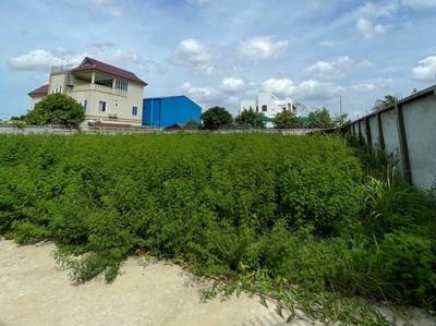 1,200 sqm Land Size Lot K pronájmu for $1,000