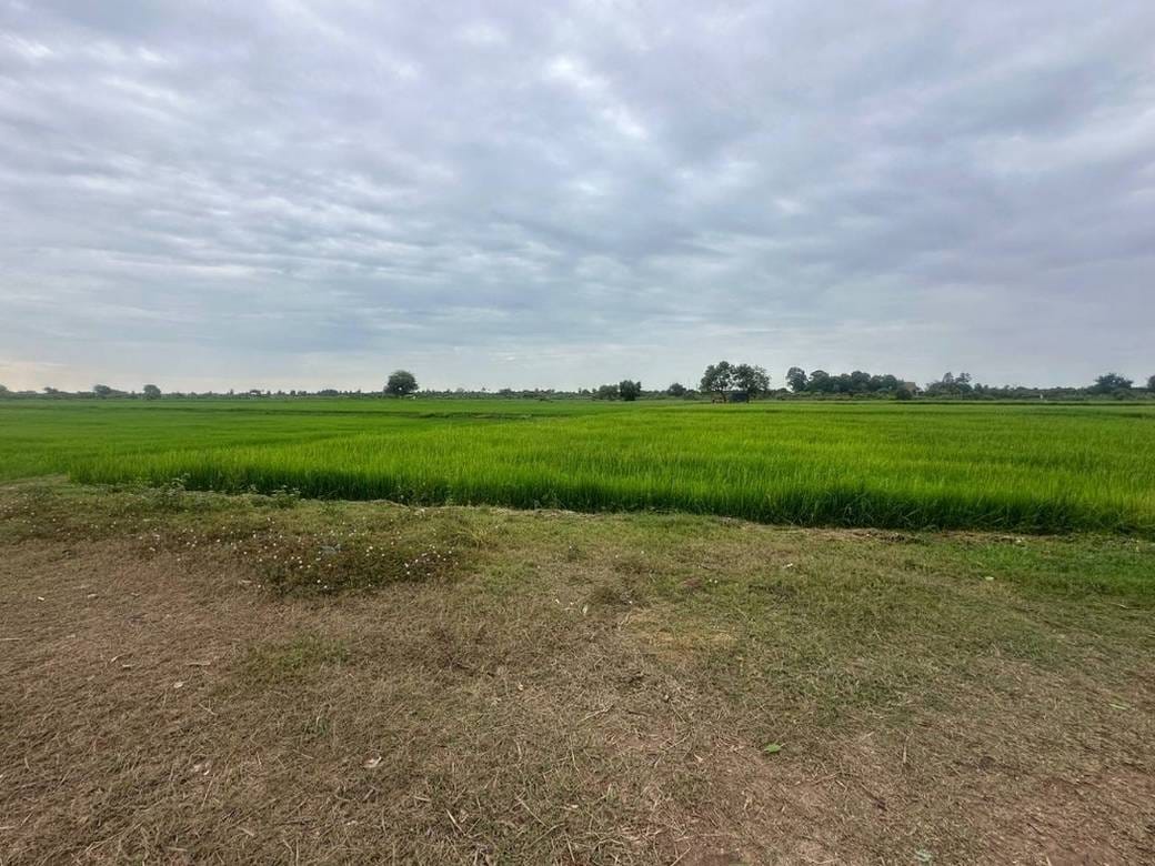 Lot For Sale in Chey Thum, Khsach Kandal, Kandal