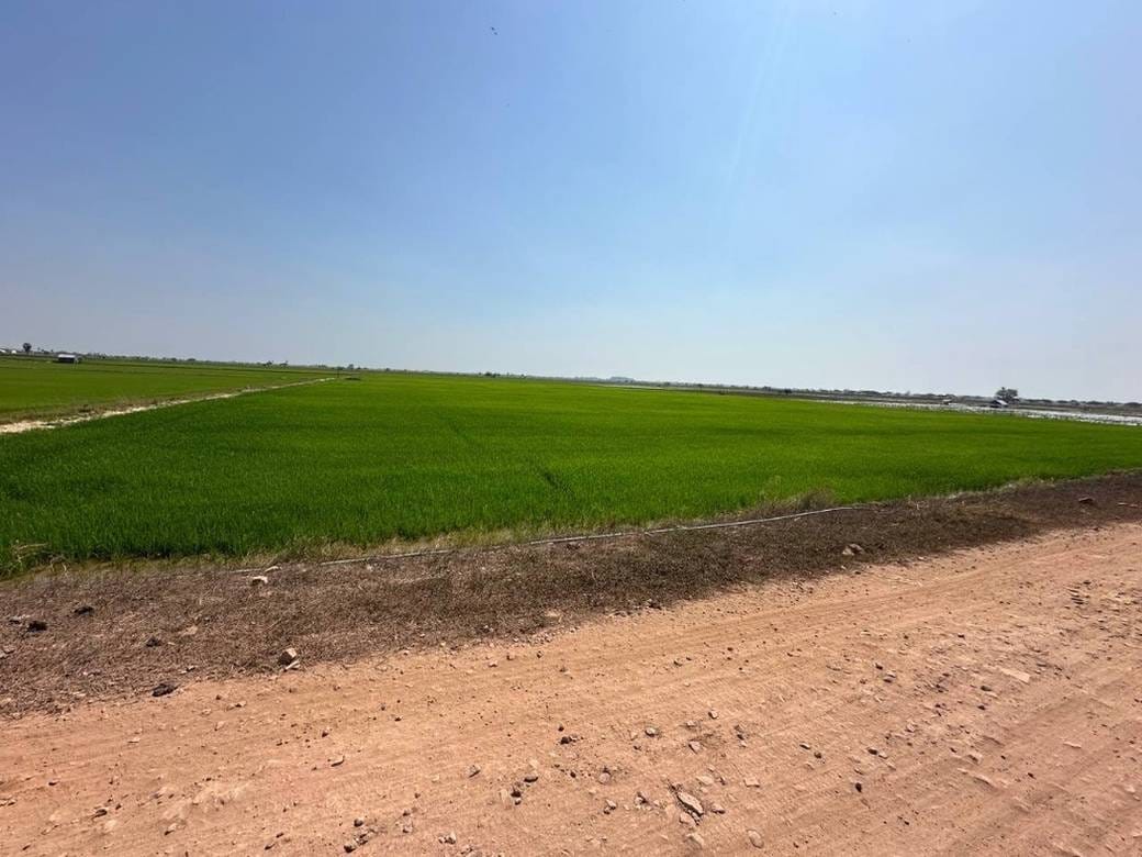 Lot For Sale in Khsach Kandal $1