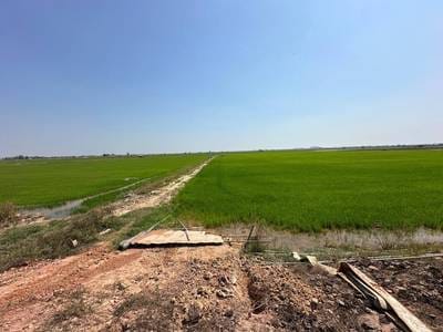 Chey Thum Lot For Sale in Chey Thum