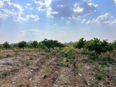 Relief À vendre à Ou Svay, Thala Barivat, Stung Treng