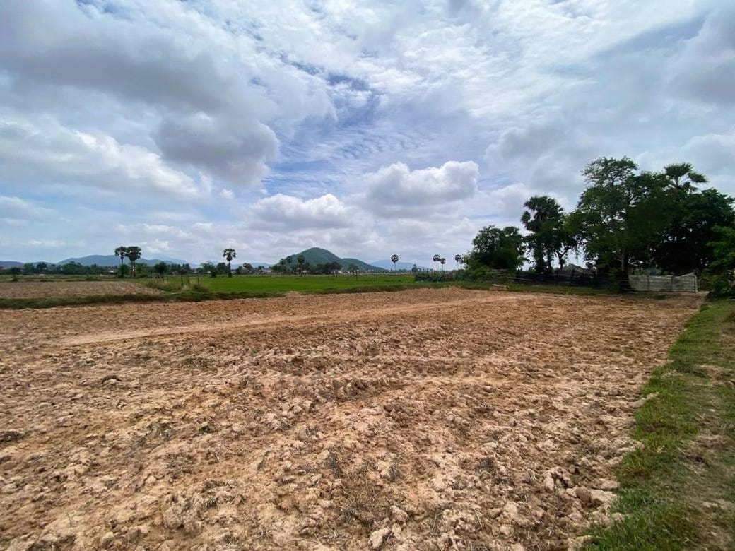 ที่ดิน สำหรับขาย ขนาดที่ดิน 11,600 ตร.ม.