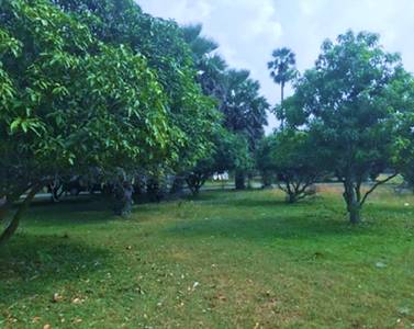 Samraong Leu Lot For Sale in Samraong Leu