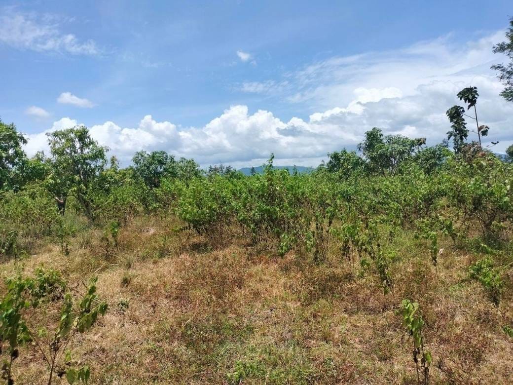 9,458 sqm Land Size Lot For Sale