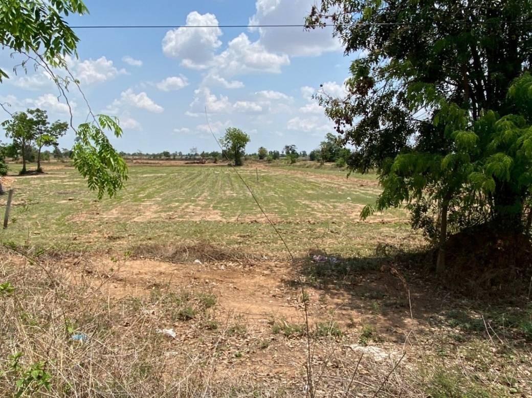 ที่ดิน สำหรับขาย ขนาดที่ดิน 785 ตร.ม.