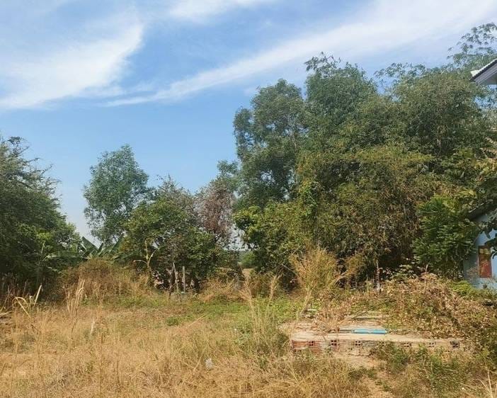 Lot For Sale in Sout Nikom $25,000