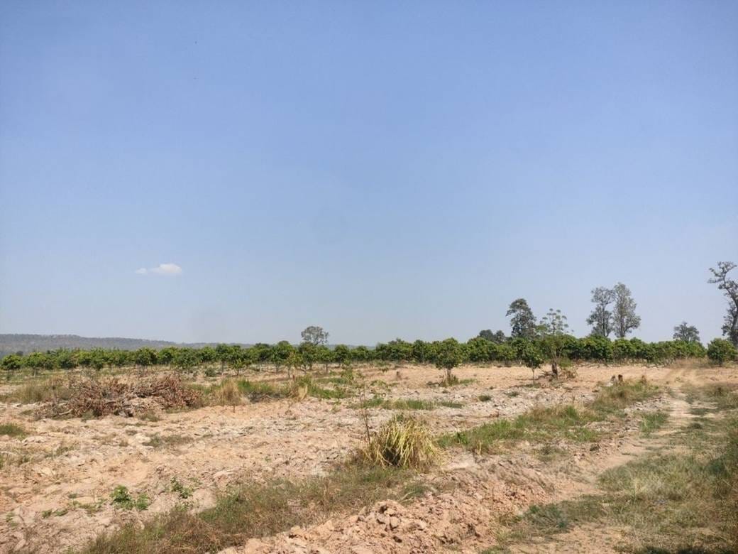 土地出售，位于Kouk Mon县, Banteay Ampil市, 奥多棉芷省