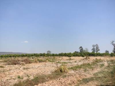 土地出售，位于Kouk Mon县, Banteay Ampil市, 奥多棉芷省