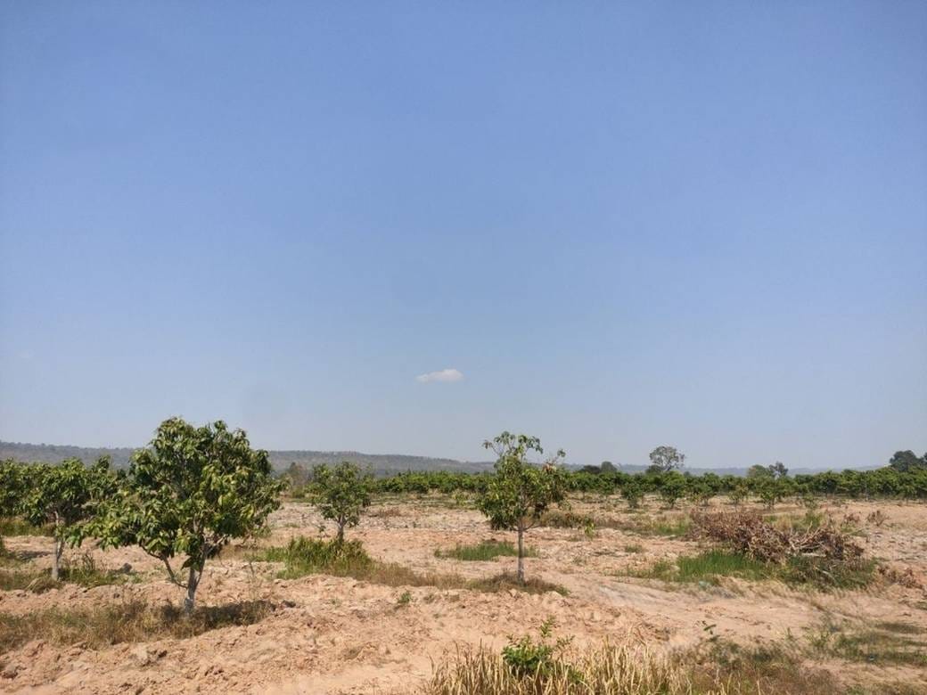 Banteay Ampil土地出售，价格$45,000