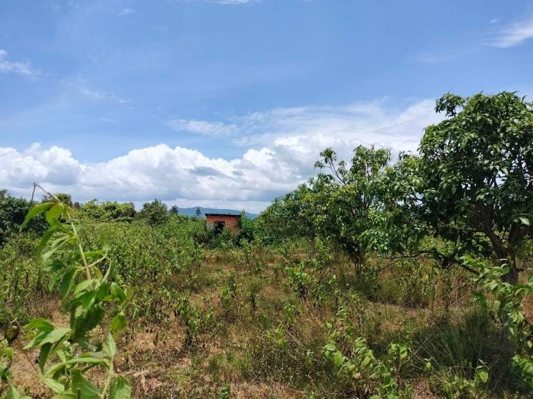 Lot For Sale in Veal Veaeng $38,000