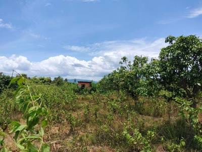 Lot For Sale in Veal Veaeng $38,000