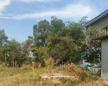 Lot For Sale in Popel, Sout Nikom, Siem Reap