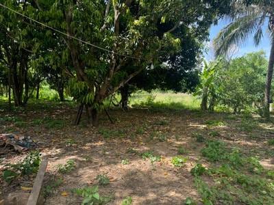 House and lot For Sale in Chbar Mon, Chbar Mon, Kampong Speu