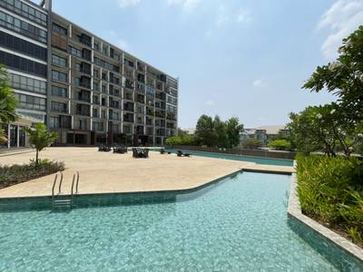 North Park Condominium | 1 Bedrooms Condo K pronájmu