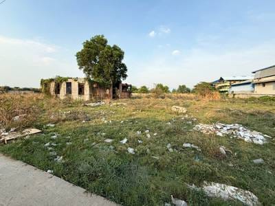Lot Na wynajem o powierzchni działki 20,000 m²
